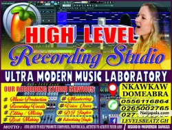 Free DanceMusic Instrumental (Prod. By LevelsBeatz De MiX Doctor) by Levels Beat
