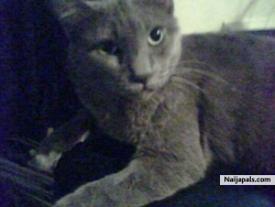 MY MISS SMOKIE