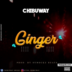 Ginger by Chibuway