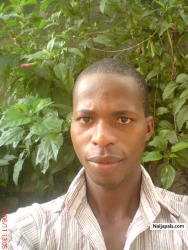 Oladipupo Michael (entity2good)