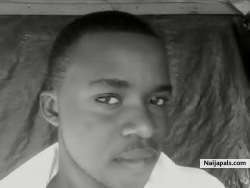 vikiboy (doneyeland)