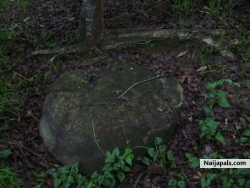 This rock covres the entrance of a cave network to $30m gold treasure from Japanneesee world war 2 loot of conquered east asian nations..