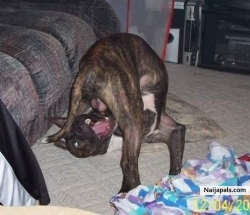 Just let me get those juicy balls......