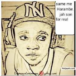 emmanuel ani
