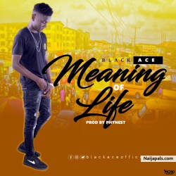 Meaning of life by Black_Ace
