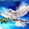 peace
