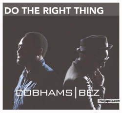 Do The Right Thing by Cobhams ft. Bez