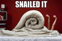snail it