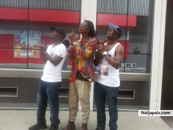 HULLABALOO by D BRODAS