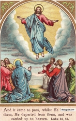 Ascension of our Lord Jesus Christ