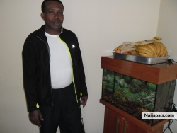 paulo , okwuowere (pauliwa)
