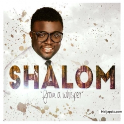 Shalom Nnamdi (shaboy1)