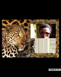 keshinro babatunde