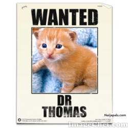 DR THOMAS