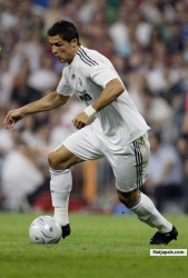 The Genius