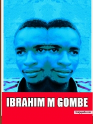 Ibrahim M Gombe Mirror app pic 010