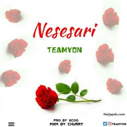 NESESARI by Teamyon