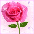 My Picture