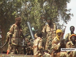 Darfur rebels