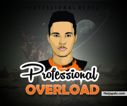 Overload by Professional