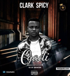 Ogadi by Clark spicy