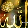 amudat ahmed 