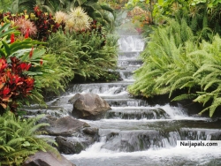 COME AND  BE MY WATERFALL