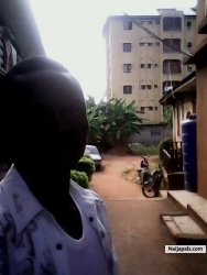 My Picture