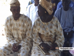 Tijani Halimat Toyin Jimoh (toyinjimoh)