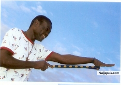 KURLYNS