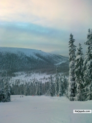 The Swedish winter and snow.