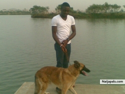 dog walk