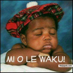 Mi O Le Wa Ku
