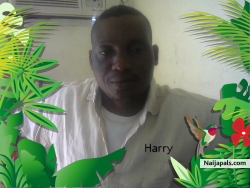 Harry 3.jpg