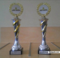 BEST ARTIST OF THE YEAR AND BEST VIDEO OF THE YEAR.2012 ADMA HOLLAND.