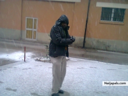 On hard snows!