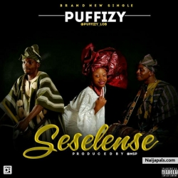 SESELENSE by puffizy 