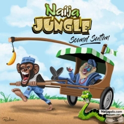 Naija Jungle by Sound Sultan