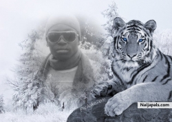 Mbah  Alain (alain22)