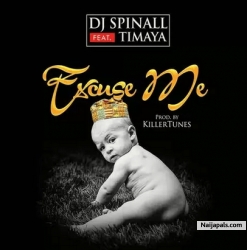Excuse Me by DJ Spinall ft Timaya