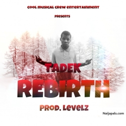 REBIRTH by Tadek
