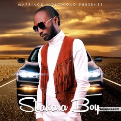 panda(e dey pain me) by shakara
