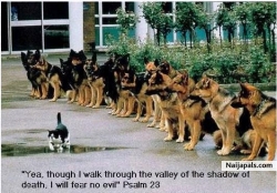 Psalm 23