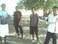 me and my guys after training