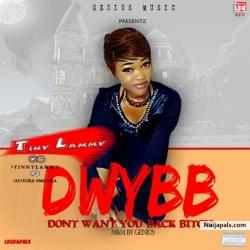Don' t Want You Back Bitch(DWYBB) by Tinylammy