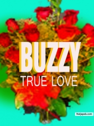 Crazy-Love by Buzzy