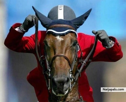 human horse