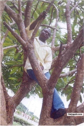 Aliyu Adewale (weareokay)