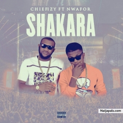 SHAKARA_ft_Nwafor by chiefizy