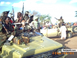 Darfur rebels